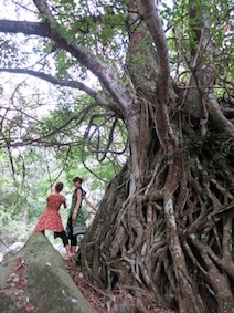 Experience nature